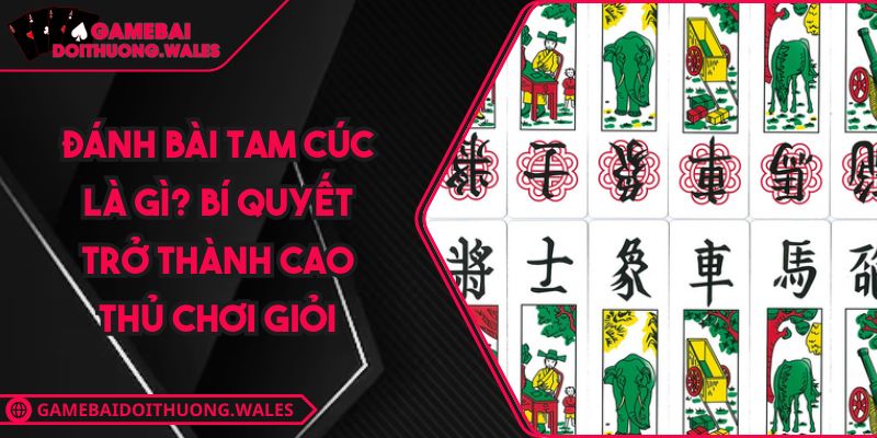 Đánh Bài Tam Cúc Là Gì? Bí Quyết Trở Thành Cao Thủ Chơi Giỏi 5 Đánh bài tam cúc là gì